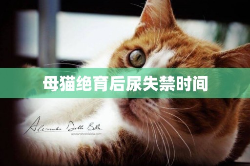 母貓絕育后尿失禁時間