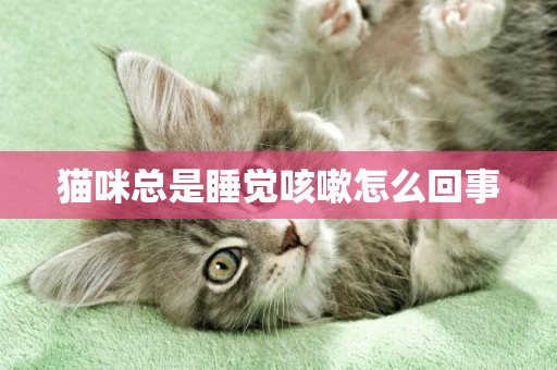 貓咪總是睡覺咳嗽怎么回事