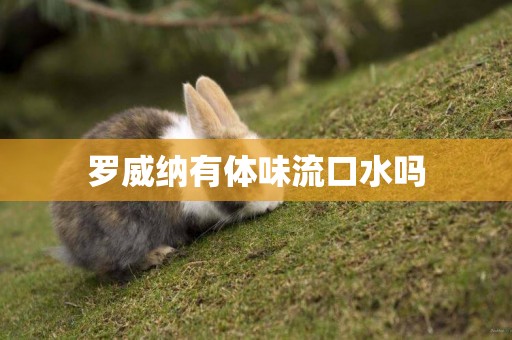 羅威納有體味流口水嗎