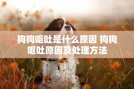 狗狗嘔吐是什么原因 狗狗嘔吐原因及處理方法