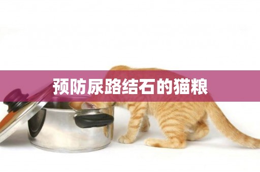 預防尿路結石的貓糧