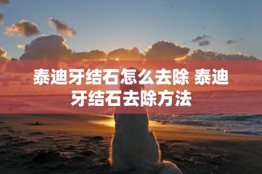 泰迪牙結石怎么去除 泰迪牙結石去除方法