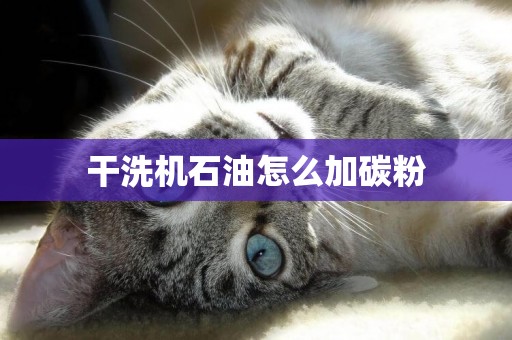 干洗機石油怎么加碳粉