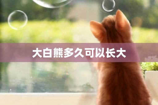 大白熊多久可以長大