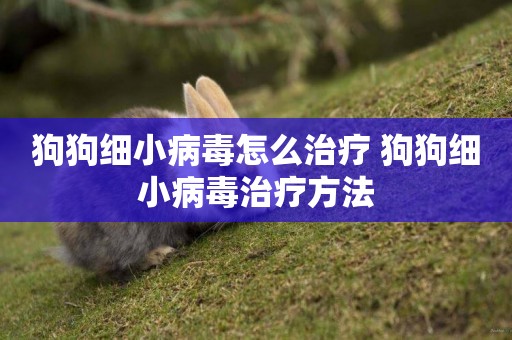 狗狗細小病毒怎么治療 狗狗細小病毒治療方法