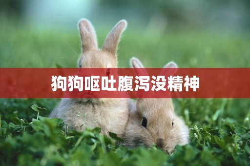 狗狗嘔吐腹瀉沒精神