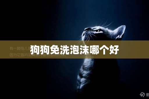 狗狗免洗泡沫哪個好