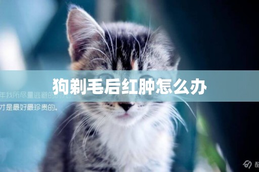 狗剃毛后紅腫怎么辦