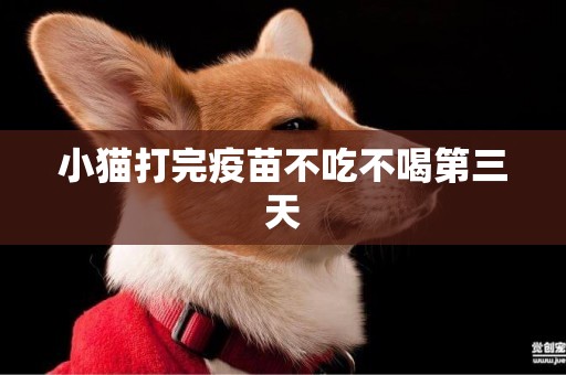 小貓打完疫苗不吃不喝第三天