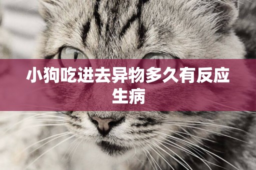 小狗吃進去異物多久有反應生病