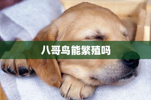 八哥鳥能繁殖嗎 八哥鳥能繁殖嗎