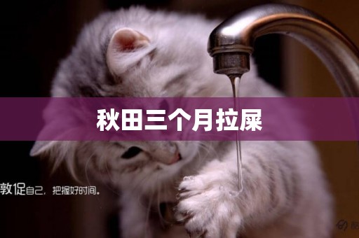 秋田三個月拉屎 秋田三個月拉屎