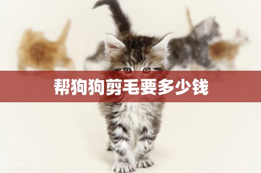 幫狗狗剪毛要多少錢