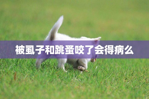 被虱子和跳蚤咬了會得病么