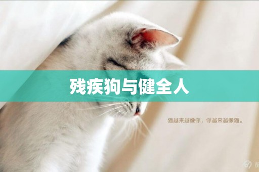 殘疾狗與健全人