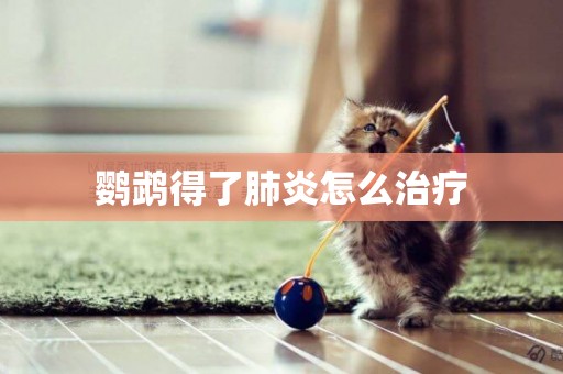 鸚鵡得了肺炎怎么治療 鸚鵡得了肺炎怎么治療