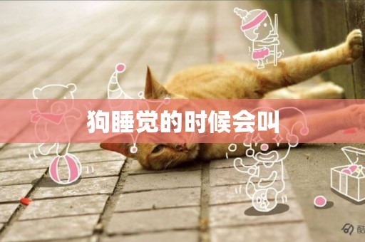 狗睡覺的時候會叫