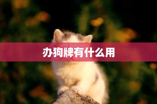辦狗牌有什么用