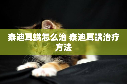 泰迪耳螨怎么治 泰迪耳螨治療方法