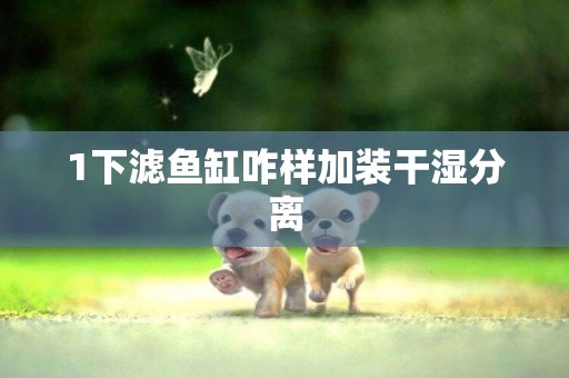 1下濾魚缸咋樣加裝干濕分離