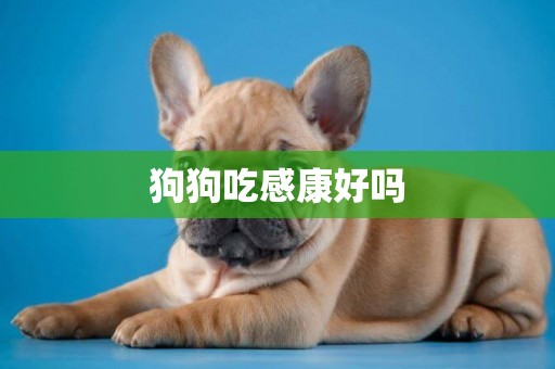 狗狗吃感康好嗎