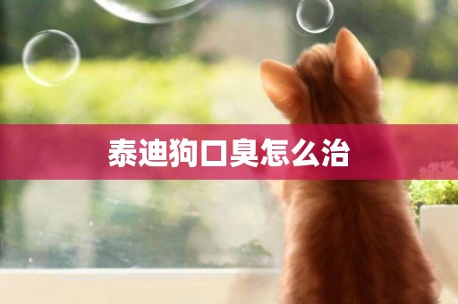 泰迪狗口臭怎么治