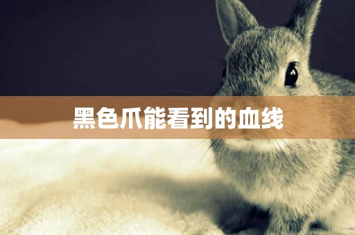 黑色爪能看到的血線