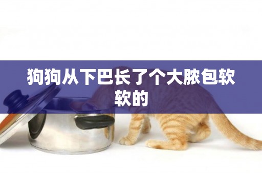 狗狗從下巴長了個大膿包軟軟的