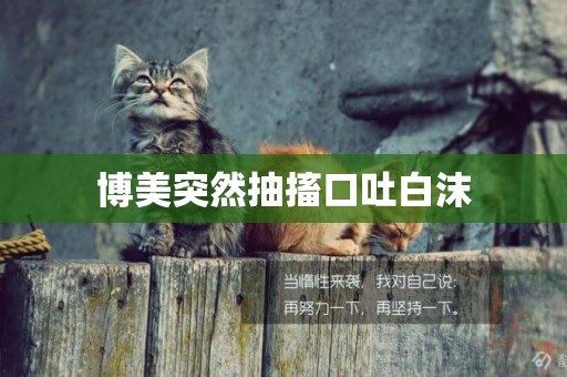 博美突然抽搐口吐白沫