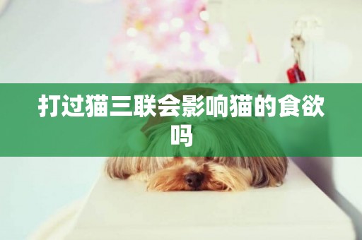 打過貓三聯會影響貓的食欲嗎 打過貓三聯會影響貓的食欲嗎
