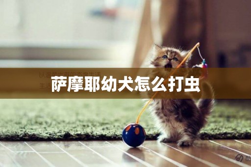 薩摩耶幼犬怎么打蟲