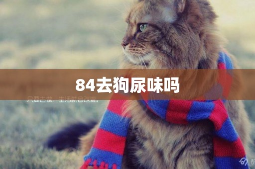 84去狗尿味嗎