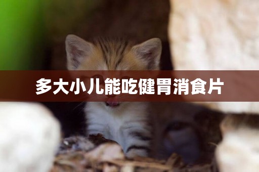 多大小兒能吃健胃消食片