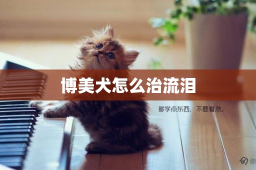 博美犬怎么治流淚