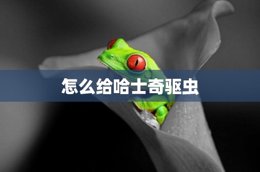 怎么給哈士奇驅蟲