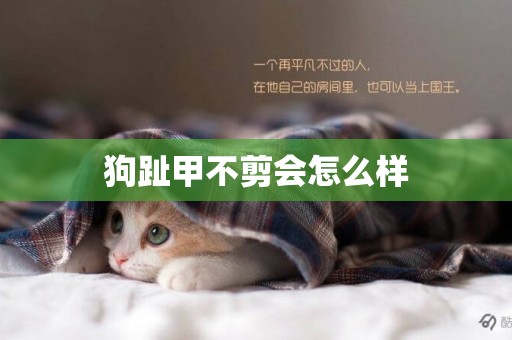 狗趾甲不剪會怎么樣