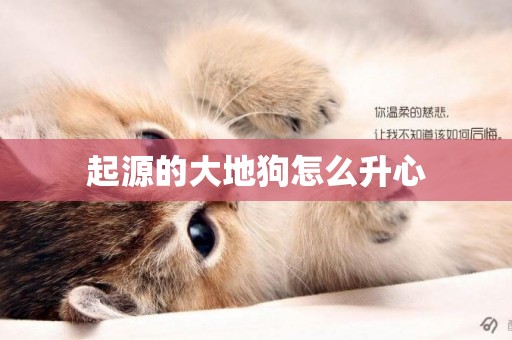 起源的大地狗怎么升心