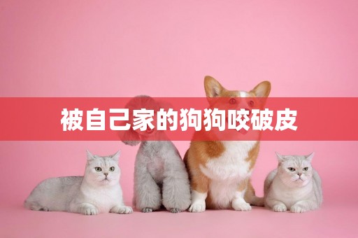 被自己家的狗狗咬破皮