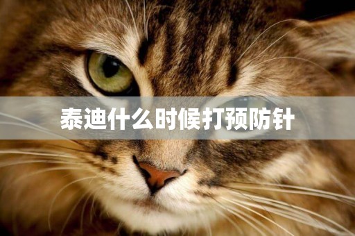泰迪什么時候打預防針
