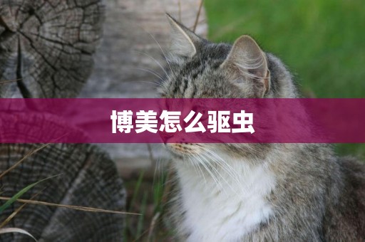 博美怎么驅蟲