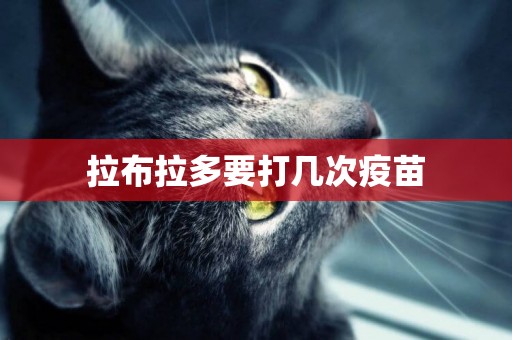 拉布拉多要打幾次疫苗