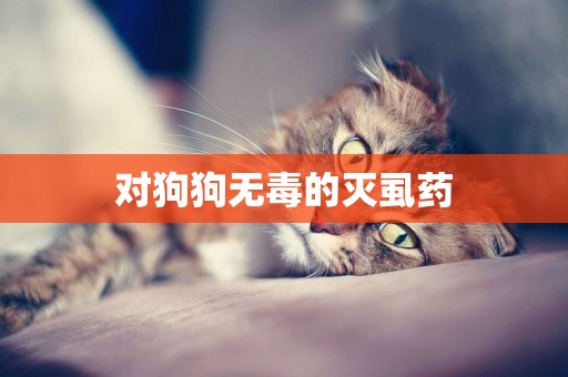 對狗狗無毒的滅虱藥