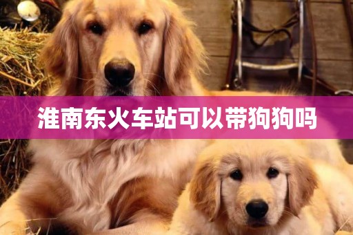 淮南東火車站可以帶狗狗嗎
