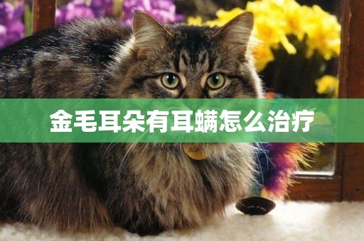 金毛耳朵有耳螨怎么治療