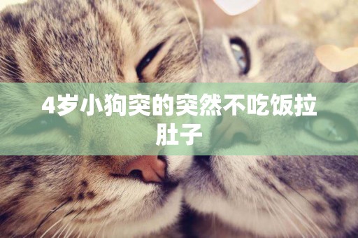 4歲小狗突的突然不吃飯拉肚子