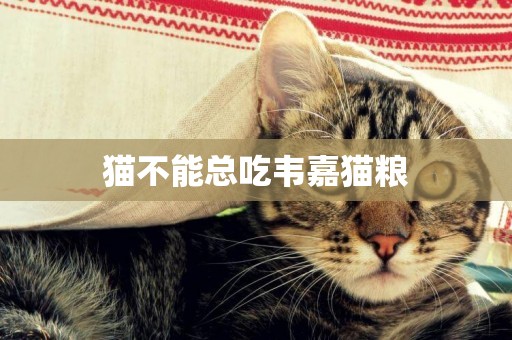 貓不能總吃韋嘉貓糧