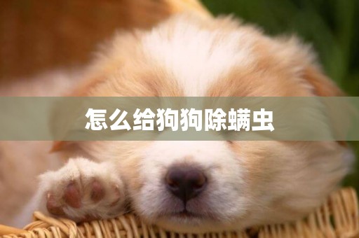 怎么給狗狗除螨蟲