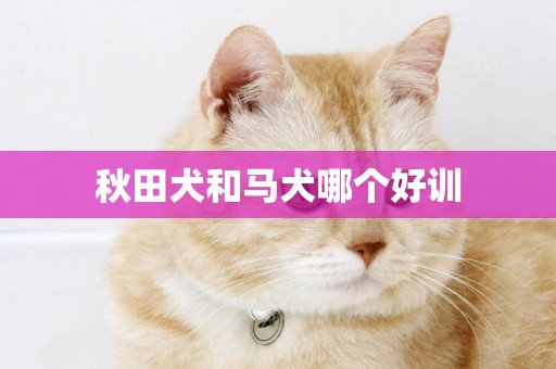 秋田犬和馬犬哪個好訓