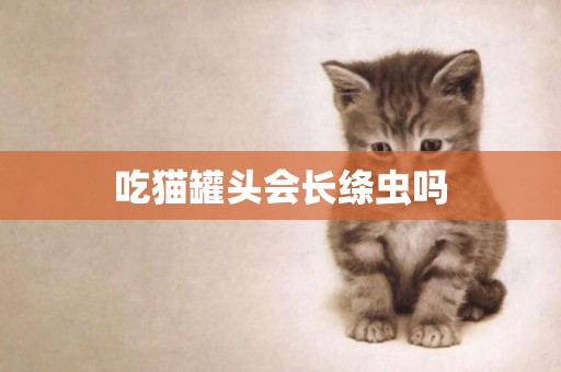 吃貓罐頭會長絳蟲嗎