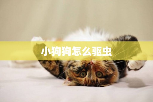 小狗狗怎么驅蟲
